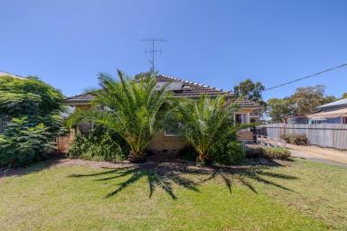House For Sale - VIC - Sea Lake - 3533 - Set sail for Sea Lake!  (Image 2)