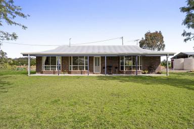 Lifestyle For Sale - QLD - Cambooya - 4358 - Lifestyle, location and income!  (Image 2)