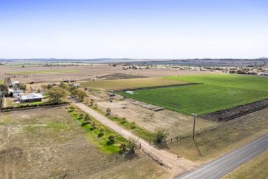 Lifestyle For Sale - QLD - Cambooya - 4358 - Lifestyle, location and income!  (Image 2)