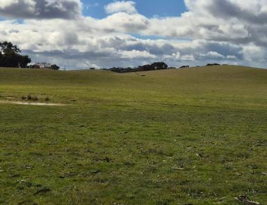 Other (Rural) For Sale - SA - Bangham - 5268 - Karkarook - Approximately 850 Acres* of Bangham Grazing Country  (Image 2)