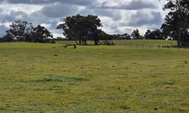 Other (Rural) For Sale - SA - Bangham - 5268 - Karkarook - Approximately 850 Acres* of Bangham Grazing Country  (Image 2)
