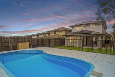 House For Sale - NSW - Schofields - 2762 - Superb Location | Multi-Generational Living | Flexible Layout  (Image 2)