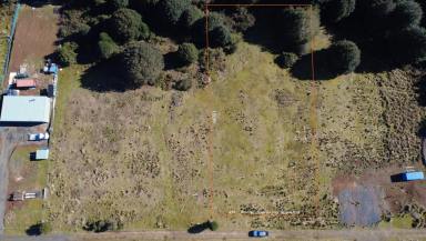 Residential Block For Sale - TAS - Waratah - 7321 - Prime Vacant Land in the Heart of Waratah  (Image 2)
