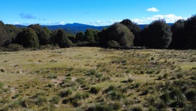 Residential Block For Sale - TAS - Waratah - 7321 - Prime Vacant Land in the Heart of Waratah  (Image 2)