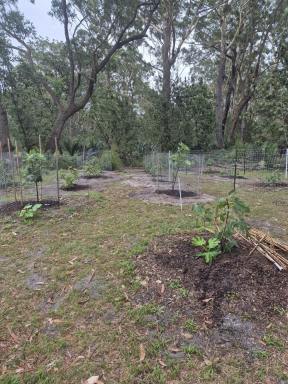 Residential Block For Sale - NSW - Moruya - 2537 - Near Moruya -Permanent Water Course, 8.6 Ha (approx) Council rates - Residential. (Image 2)