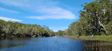 Residential Block For Sale - NSW - Moruya - 2537 - Near Moruya -Permanent Water Course, 8.6 Ha (approx) Council rates - Residential. (Image 2)