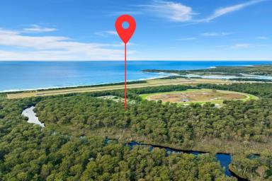 Residential Block For Sale - NSW - Moruya - 2537 - Near Moruya -Permanent Water Course, 8.6 Ha (approx) Council rates - Residential.  (Image 2)