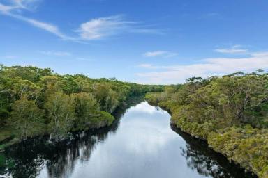 Residential Block For Sale - NSW - Moruya - 2537 - Near Moruya -Permanent Water Course, 8.6 Ha (approx) Council rates - Residential.  (Image 2)