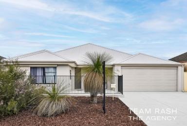 House For Sale - WA - Banksia Grove - 6031 - GRAND SLAM FAMILY LIVING – 236sqm OF INTERNAL SPACE  (Image 2)