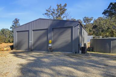 Residential Block For Sale - NSW - Runnyford - 2536 - Build Your Dream Rural Escape  (Image 2)