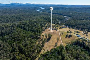 Residential Block For Sale - NSW - Runnyford - 2536 - Build Your Dream Rural Escape (Image 2)