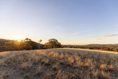 Lifestyle Sold - NSW - Mudgee - 2850 - ELEVATED COUNTRY LIVING AT ITS FINEST  (Image 2)