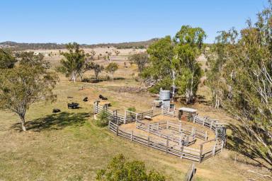 Livestock For Sale - QLD - Forest Springs - 4362 - Rare Lifestyle Opportunity with Dual Living on 60 Acres  (Image 2)