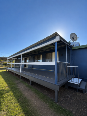 House For Lease - QLD - Gracemere - 4702 - Freshly Renovated Family Home in Gracemere  (Image 2)
