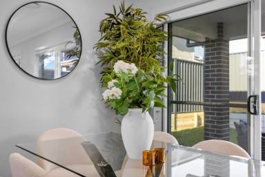 House For Sale - NSW - Riverstone - 2765 - Newly Built Contemporary Corner-Block Family Home with Ground-Floor Guest Suite  (Image 2)