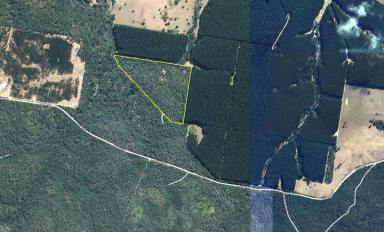 Lifestyle For Sale - VIC - Merino - 3310 - Your Bush Escape Awaits (Image 2)