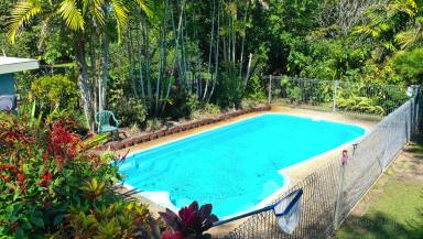 House For Sale - QLD - Tully Heads - 4854 - Paradise In Tully Heads (Image 2)