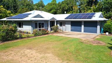 House For Sale - QLD - Tully Heads - 4854 - Paradise In Tully Heads  (Image 2)
