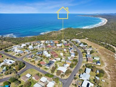 House For Sale - NSW - Minnie Water - 2462 - A RARE FOOTHOLD IN TIGHTLY HELD MINNIE WATER  (Image 2)