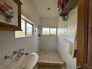 Lifestyle For Sale - NSW - Reids Flat - 2586 - 105 Acres of Scenic Rural Lifestyle  (Image 2)