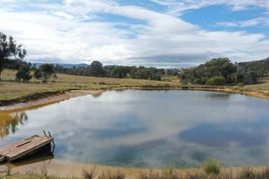 Lifestyle For Sale - NSW - Reids Flat - 2586 - 105 Acres of Scenic Rural Lifestyle  (Image 2)