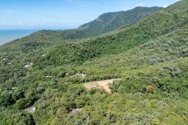 Residential Block For Sale - QLD - Oak Beach - 4877 - The Coral Sea at Your Feet. Rainforest at Your Back. Your Future Home in Between.  (Image 2)