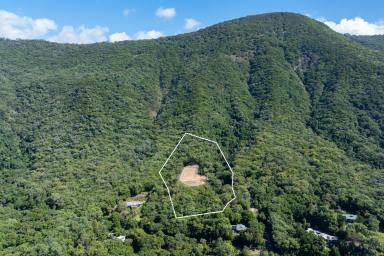 Residential Block For Sale - QLD - Oak Beach - 4877 - The Coral Sea at Your Feet. Rainforest at Your Back. Your Future Home in Between.  (Image 2)
