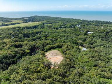 Residential Block For Sale - QLD - Oak Beach - 4877 - The Coral Sea at Your Feet. Rainforest at Your Back. Your Future Home in Between. (Image 2)