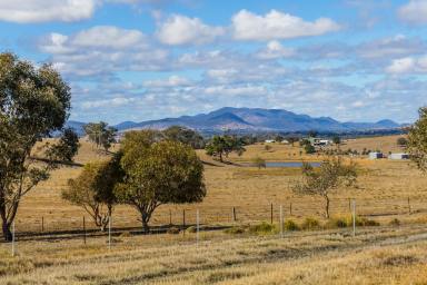 Lifestyle For Sale - NSW - Mudgee - 2850 - BUILD WHERE THE VIEWS NEVER END  (Image 2)