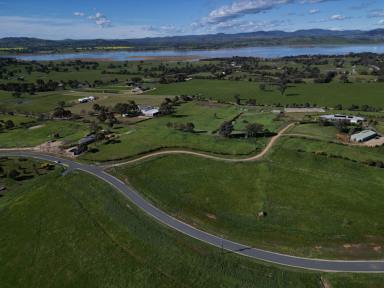 Mixed Farming For Sale - NSW - Table Top - 2640 - Discover the Perfect Rural Lifestyle at Eagle Rise Estate Table Top, Final Stage.  (Image 2)