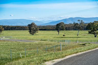 Mixed Farming For Sale - NSW - Table Top - 2640 - Discover the Perfect Rural Lifestyle at Eagle Rise Estate Table Top, Final Stage.  (Image 2)