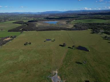 Mixed Farming For Sale - NSW - Table Top - 2640 - Genuine Larger Rural Lifestyle with WOW factor  (Image 2)
