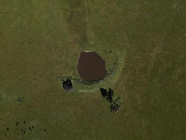 Mixed Farming For Sale - NSW - Table Top - 2640 - Genuine Larger Rural Lifestyle with WOW factor  (Image 2)