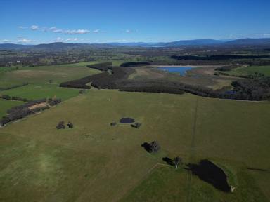 Mixed Farming For Sale - NSW - Table Top - 2640 - Genuine Larger Rural Lifestyle with WOW factor  (Image 2)