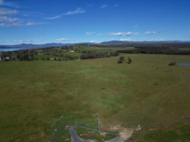 Mixed Farming For Sale - NSW - Table Top - 2640 - Discover the Perfect Rural Lifestyle at Eagle Rise Estate Table Top, Final Stage.  (Image 2)