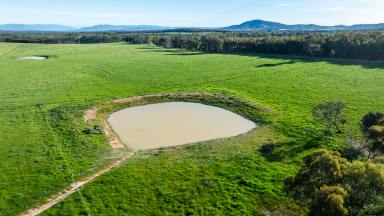 Mixed Farming For Sale - NSW - Table Top - 2640 - Discover the Perfect Rural Lifestyle at Eagle Rise Estate Table Top, Final Stage.  (Image 2)