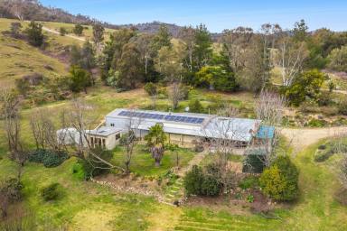 House For Sale - NSW - Tuena - 2583 - Discover a hidden rural gem.  (Image 2)