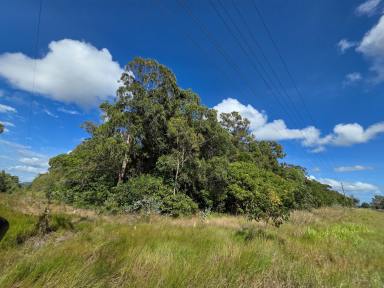 Residential Block For Sale - QLD - Cooktown - 4895 - 40 Acres of Untouched Cape York Wilderness (Image 2)