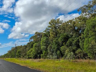 Residential Block For Sale - QLD - Cooktown - 4895 - 40 Acres of Untouched Cape York Wilderness (Image 2)
