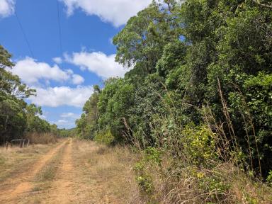 Residential Block For Sale - QLD - Cooktown - 4895 - 40 Acres of Untouched Cape York Wilderness  (Image 2)