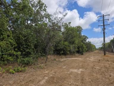 Residential Block For Sale - QLD - Cooktown - 4895 - 40 Acres of Untouched Cape York Wilderness  (Image 2)