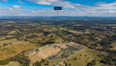 House For Sale - QLD - Veteran - 4570 - Luxury Acreage Living with Sweeping Rural Views  (Image 2)