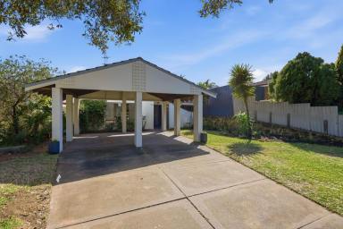House For Sale - WA - Kardinya - 6163 - A Survey-Strata Standout (Image 2)