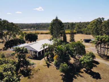 Lifestyle For Sale - QLD - Cordalba - 4660 - QUIET COUNTRY LIVING ON 66 ACRES  (Image 2)