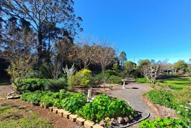 House For Sale - QLD - Pechey - 4352 - Environmentally built sustainable home, sheds, solar, and a bore on a 3,440m2 block.  (Image 2)