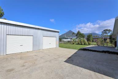 House For Sale - QLD - Gordonvale - 4865 - TWO BIG SHEDS, 800M2 LAND AND FULLY AIR-CONDITIONED  (Image 2)