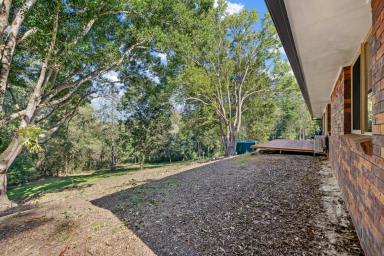 House For Lease - QLD - Ridgewood - 4563 - Peaceful Ridgewood Setting - Lawn Maintenance Included  (Image 2)