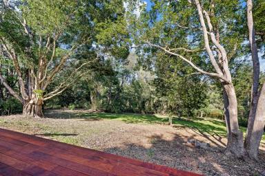 House For Lease - QLD - Ridgewood - 4563 - Peaceful Ridgewood Setting - Lawn Maintenance Included  (Image 2)