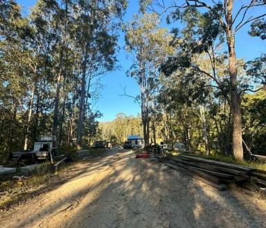 Lifestyle For Sale - NSW - Kyogle - 2474 - FIRST FARM BUYER SPECIAL  (Image 2)