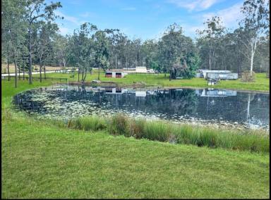 House For Lease - QLD - Curra - 4570 - Easy Rural Living (Image 2)